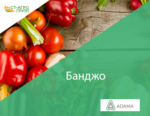 Фунгицид Банджо